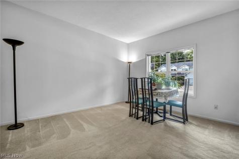 4145 Burnwyke Court Copley OH 44321