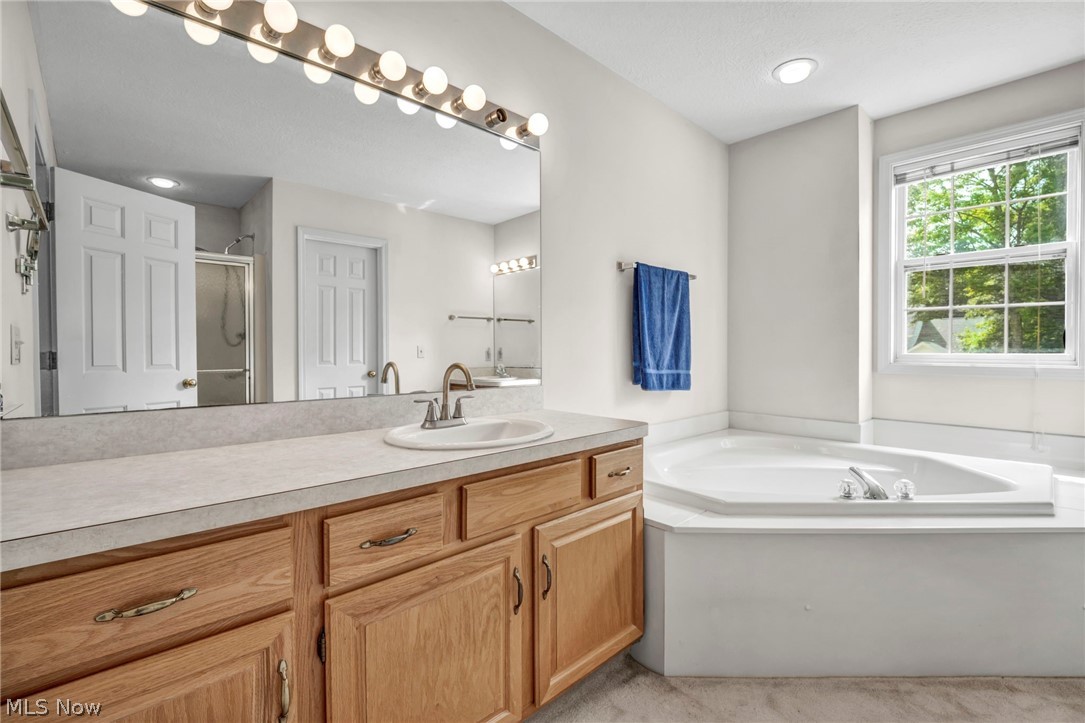 4145 Burnwyke Court Copley OH 44321