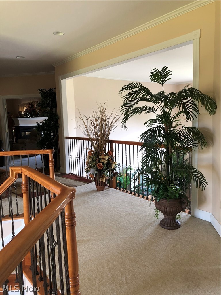 5168 Roxanne Lane Brunswick OH 44212