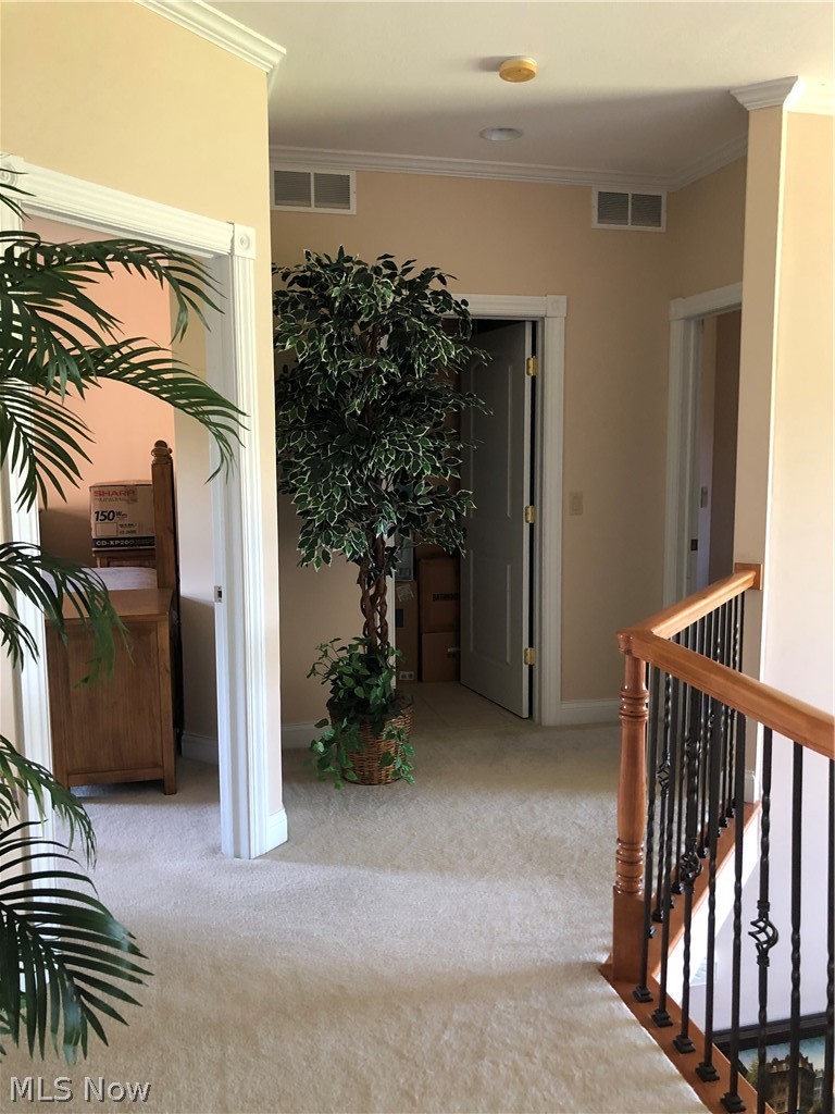5168 Roxanne Lane Brunswick OH 44212