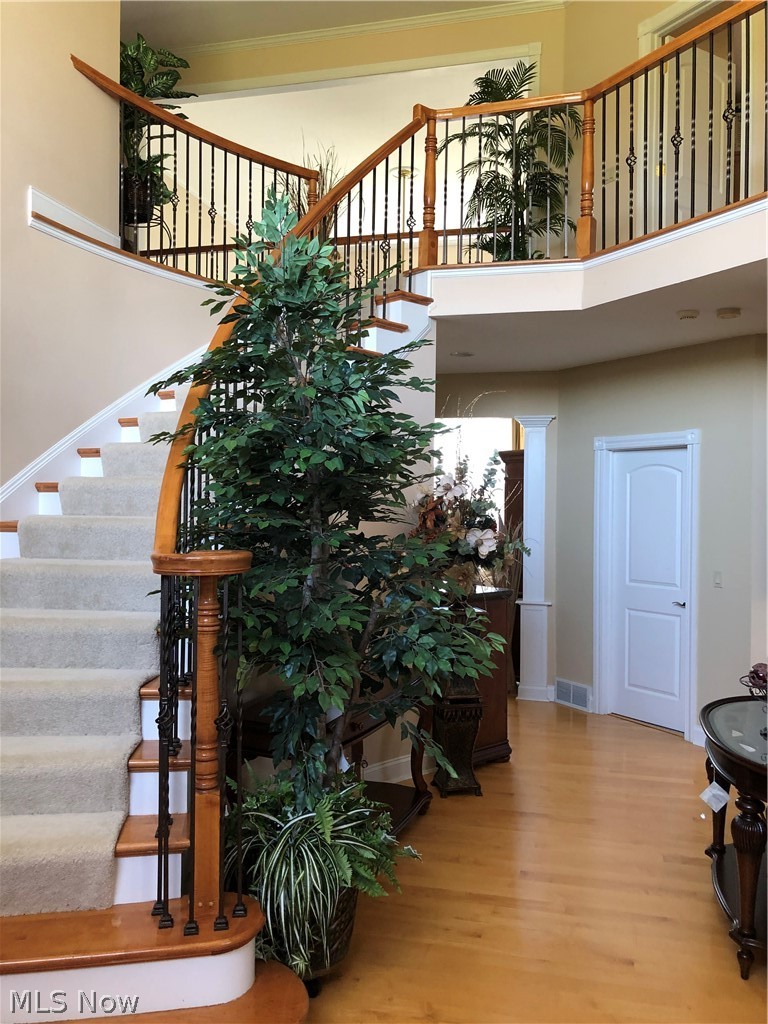 5168 Roxanne Lane Brunswick OH 44212
