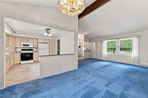 222 Kenwick Drive Northfield OH 44067
