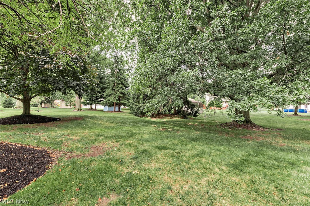 596 Jefferson Drive Highland Heights OH 44143