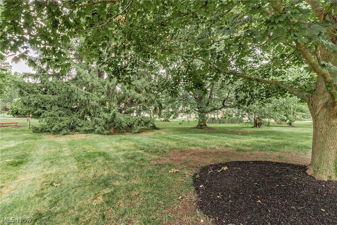 596 Jefferson Drive Highland Heights OH 44143