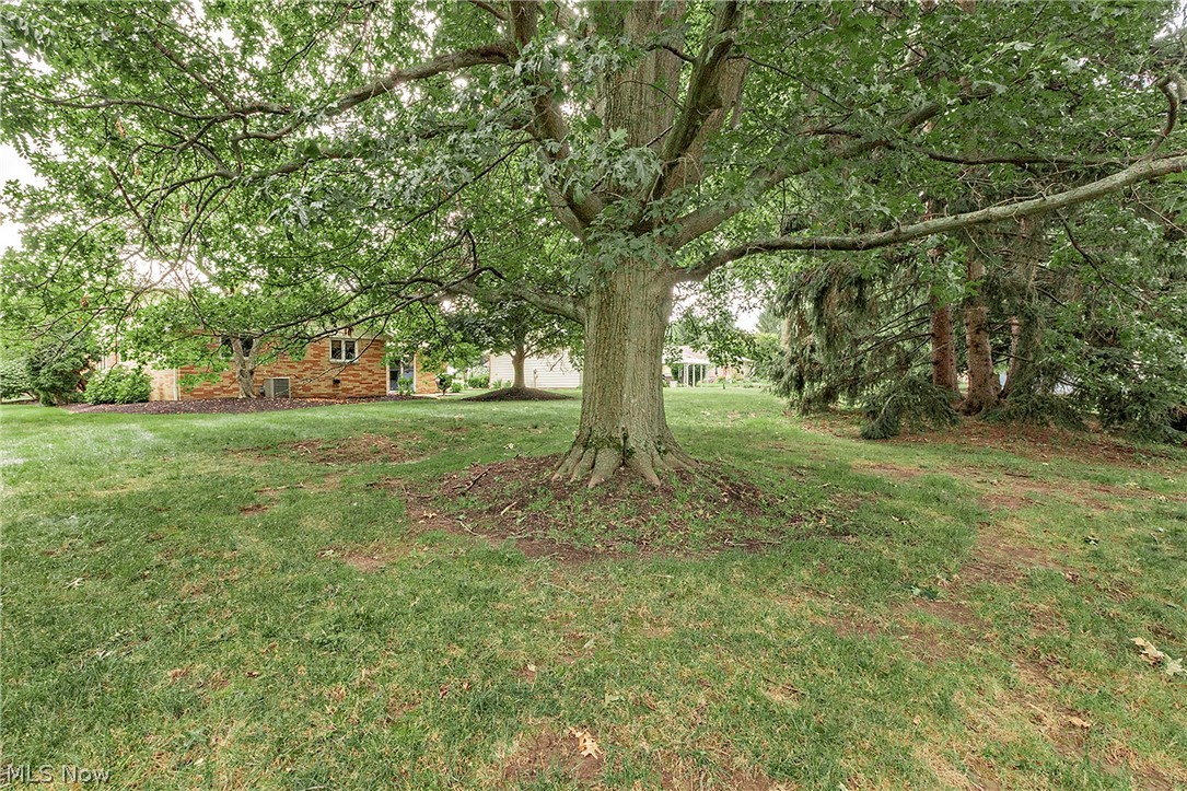 596 Jefferson Drive Highland Heights OH 44143