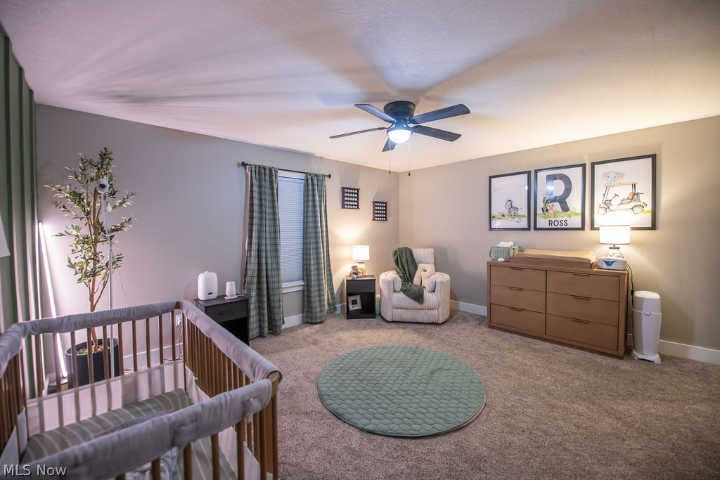 2491 Queensbury Road Alliance OH 44601
