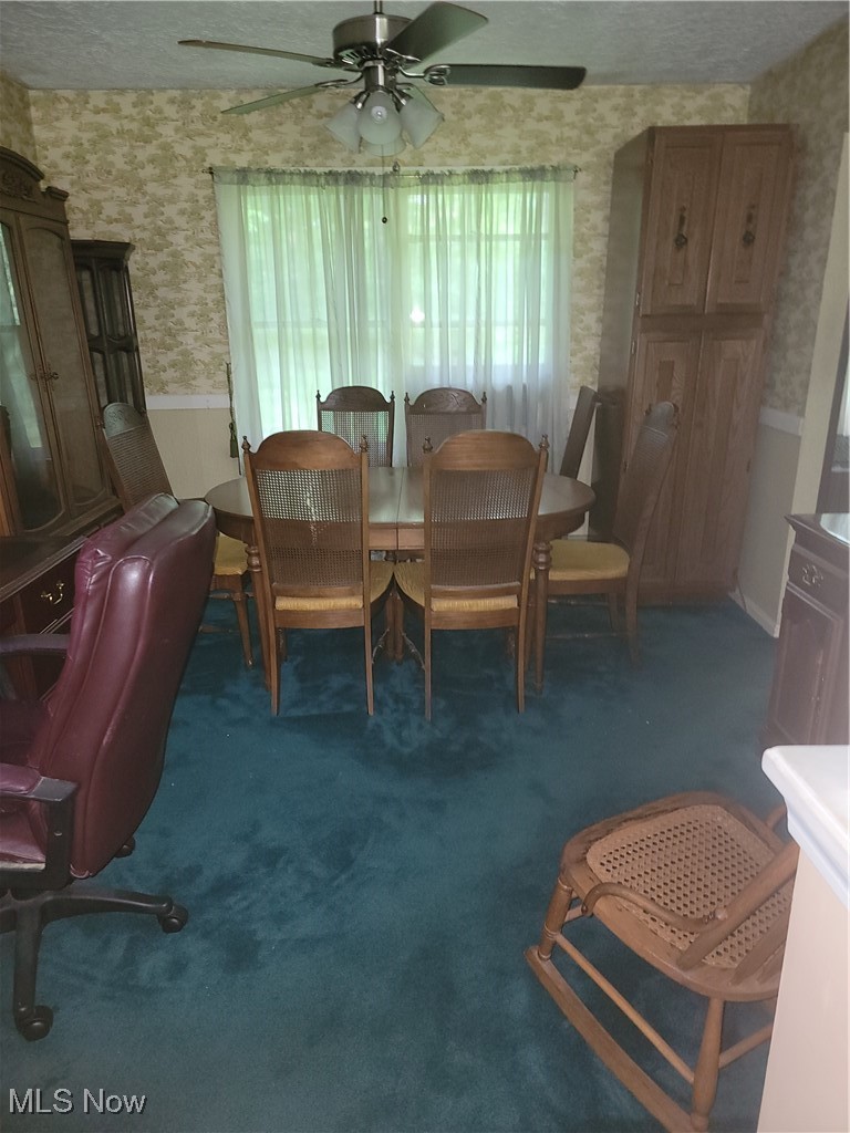 5622 Donna Drive Ashtabula OH 44004