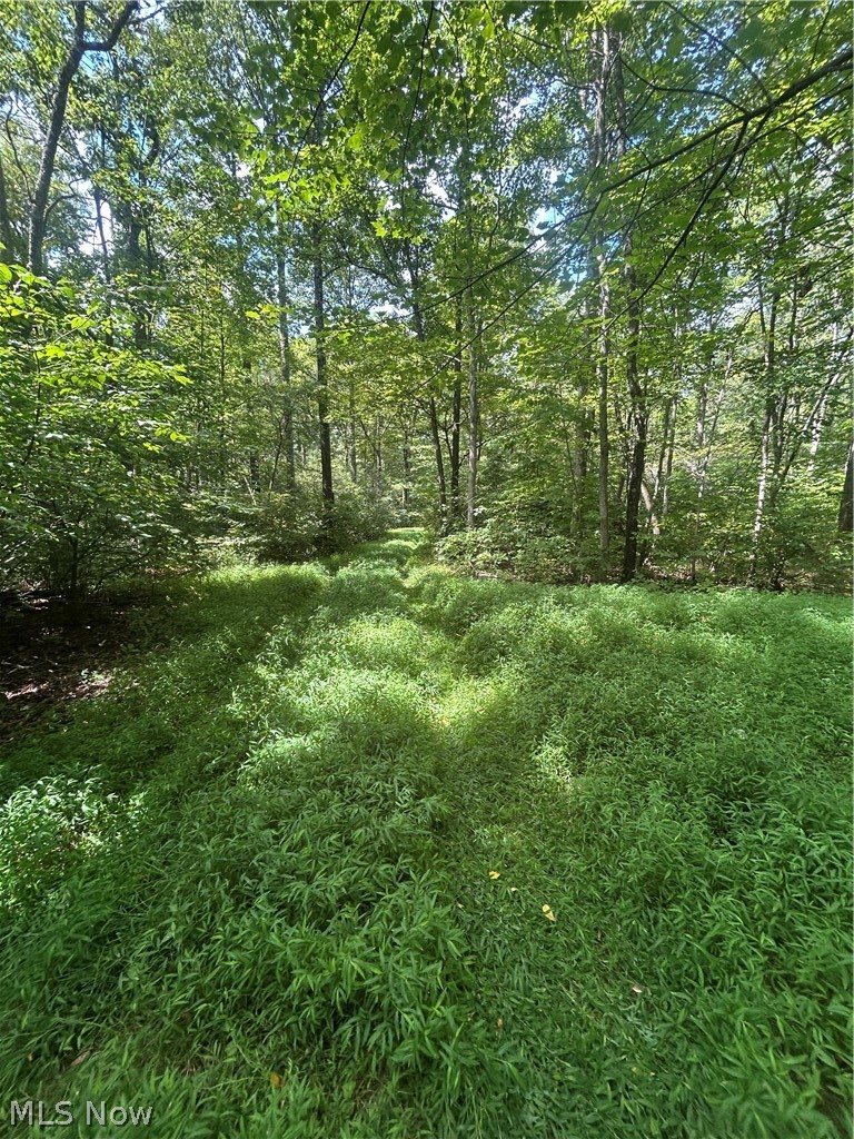 5453 Union Hill Road Kimbolton OH 43749