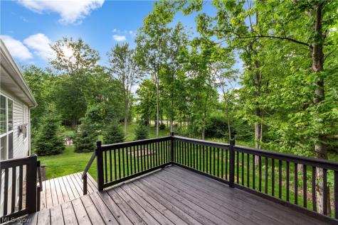 3689 Turnberry Drive Medina OH 44256