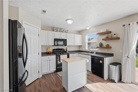 8764 Ashton Place Drive North Ridgeville OH 44039