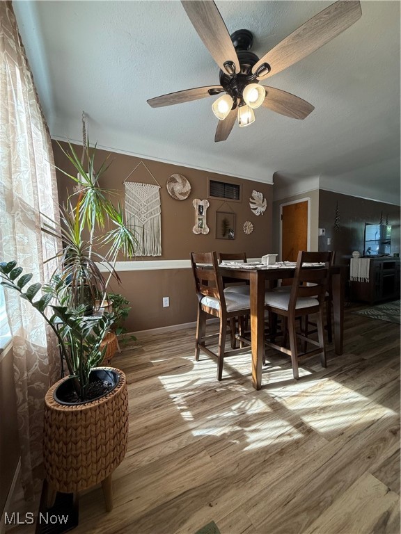 384 Bayridge Boulevard Willowick OH 44095