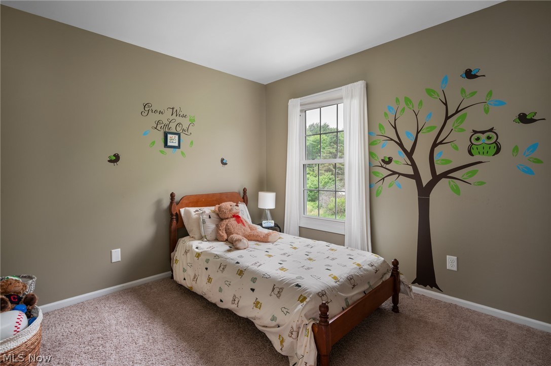 559 Alliance Drive Sagamore Hills OH 44067
