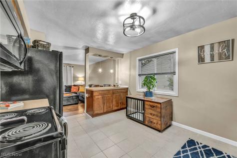 653 Lucille Drive Elyria OH 44035