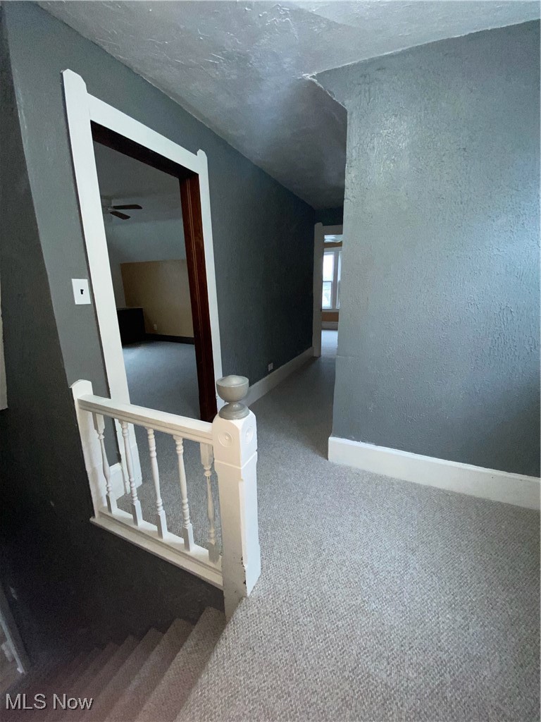 3217 Searsdale Avenue Cleveland OH 44109