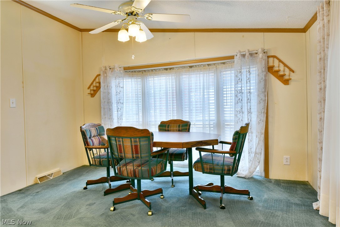 107 Northgate Drive Warren OH 44484