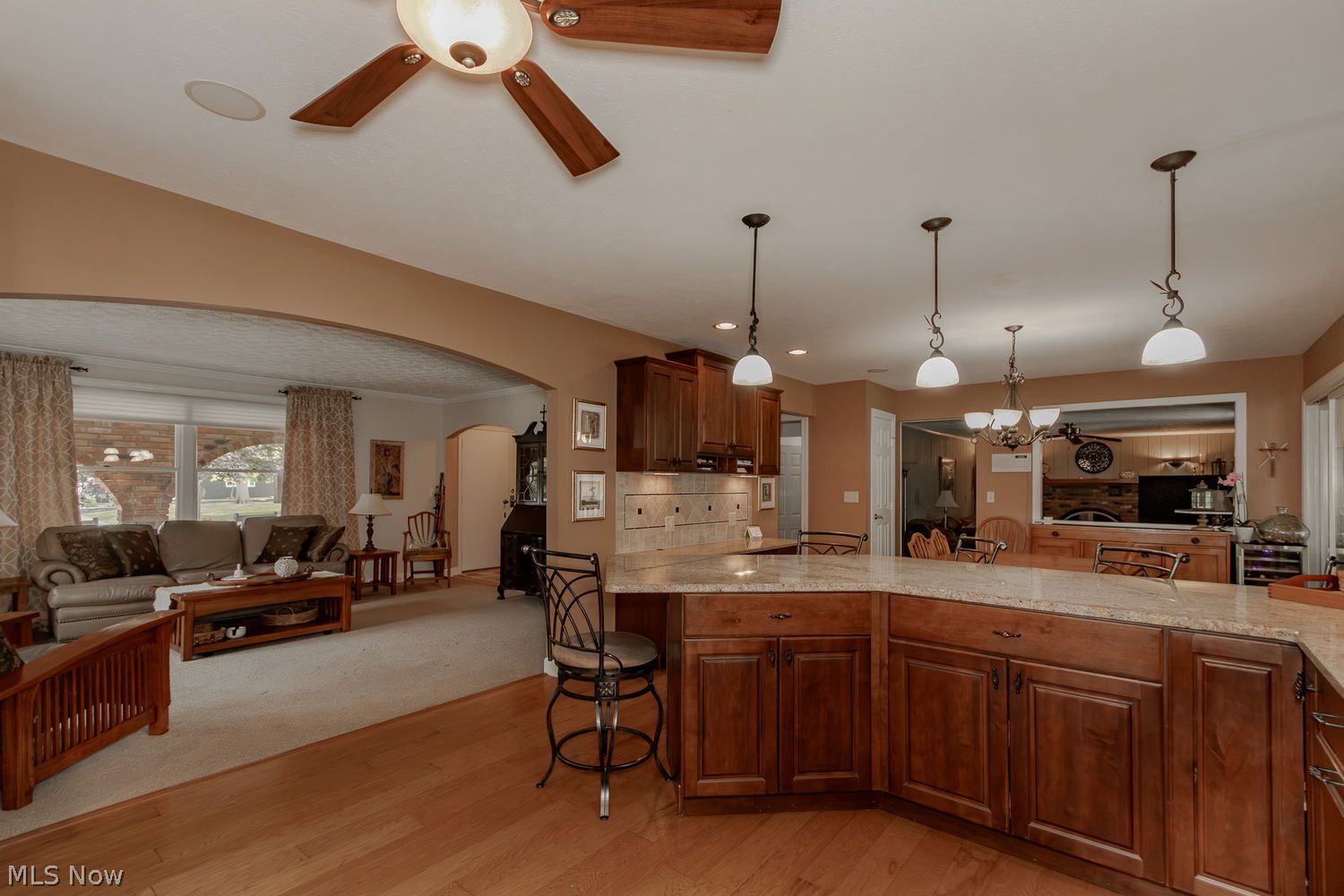 9316 Buena Vista Drive Mentor OH 44060