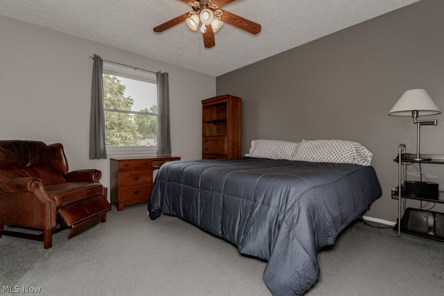 9316 Buena Vista Drive Mentor OH 44060