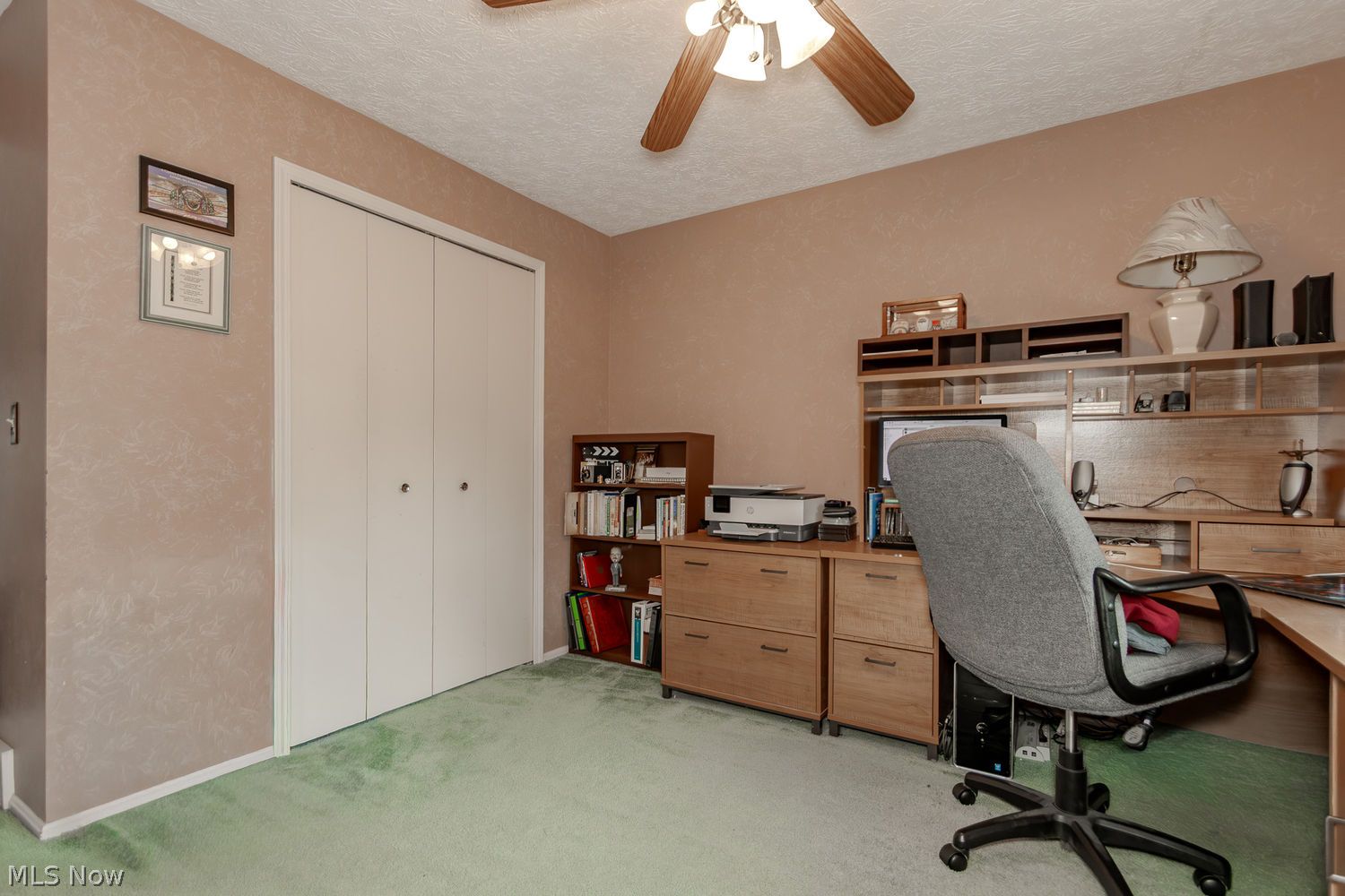 9316 Buena Vista Drive Mentor OH 44060