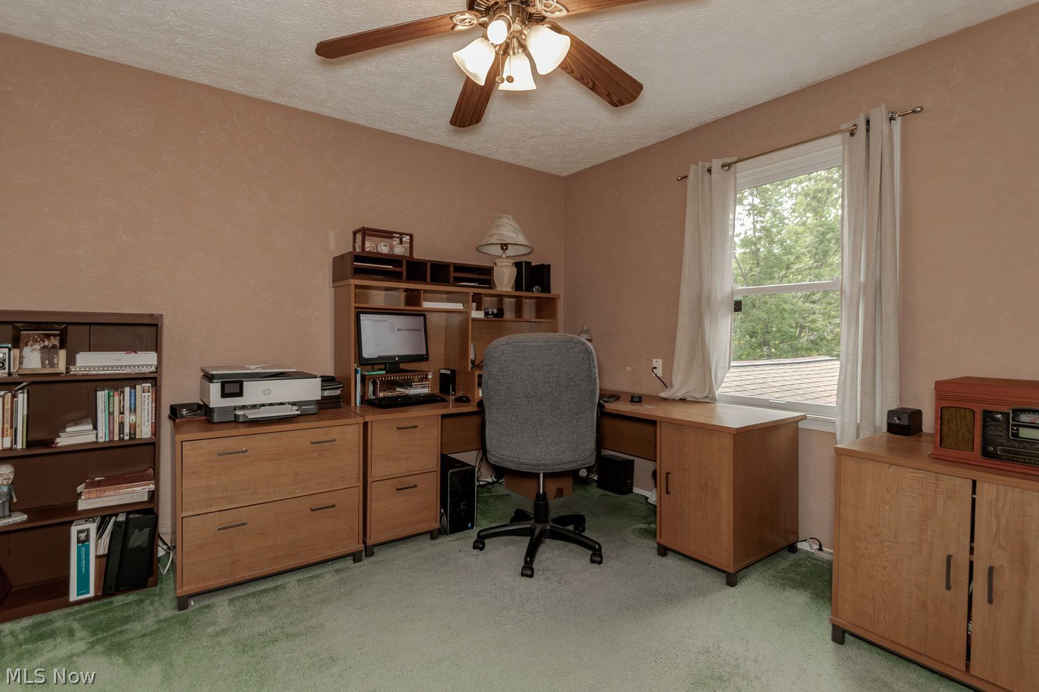 9316 Buena Vista Drive Mentor OH 44060