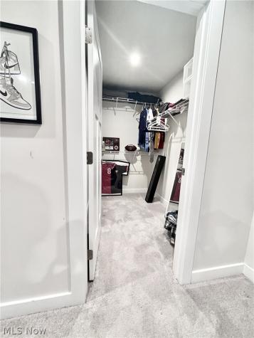 2043 Farroni Drive Willoughby OH 44094