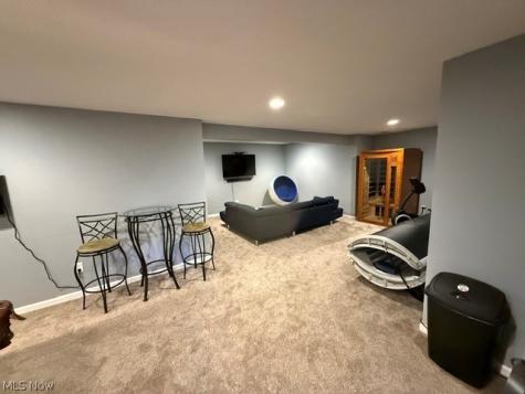 141 Fenwick Drive Brunswick OH 44212