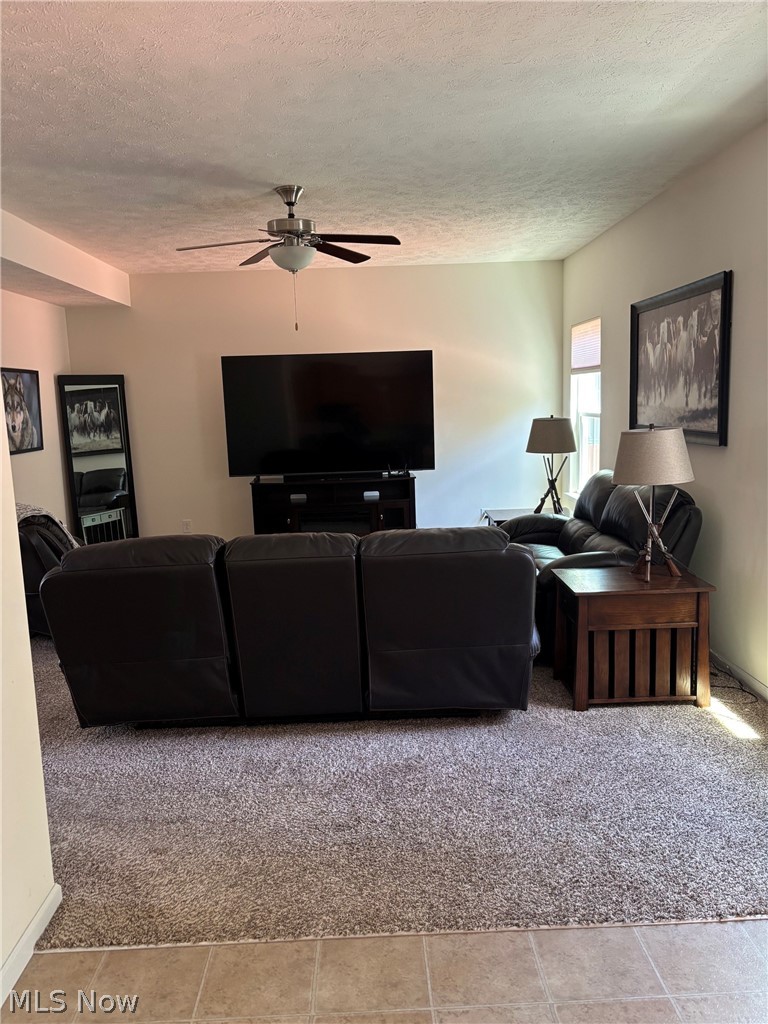 141 Fenwick Drive Brunswick OH 44212