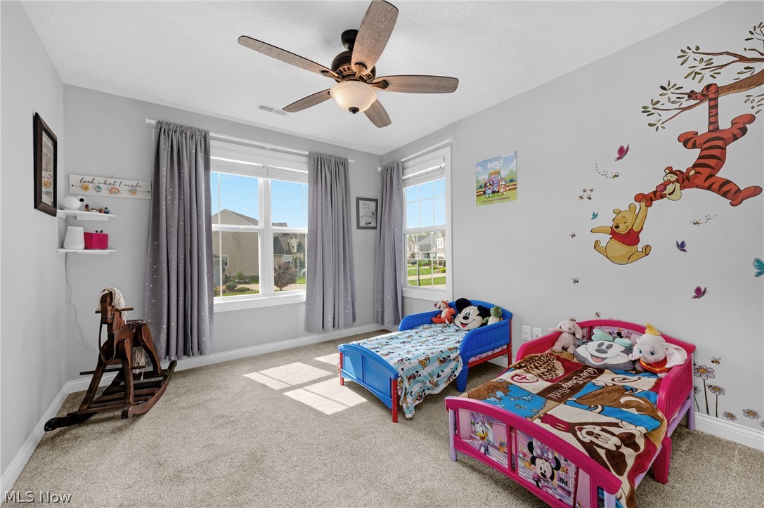 978 Hawkin Lane Aurora OH 44202