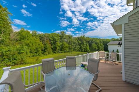 978 Hawkin Lane Aurora OH 44202