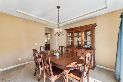 288 Balthazar Circle Avon Lake OH 44012