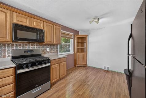1128 Irene Road Lyndhurst OH 44124