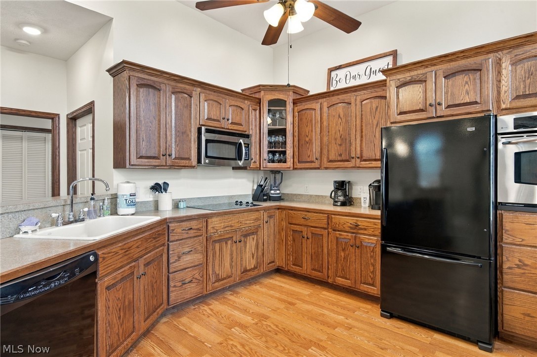42764 Russia Road Elyria OH 44035