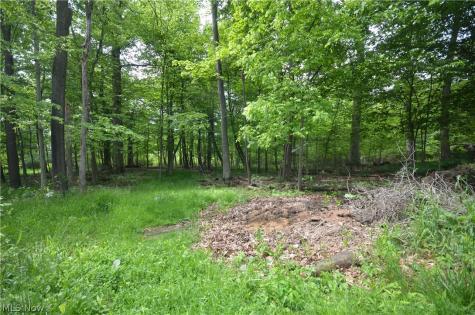 578 Perry Road Tallmadge OH 44278