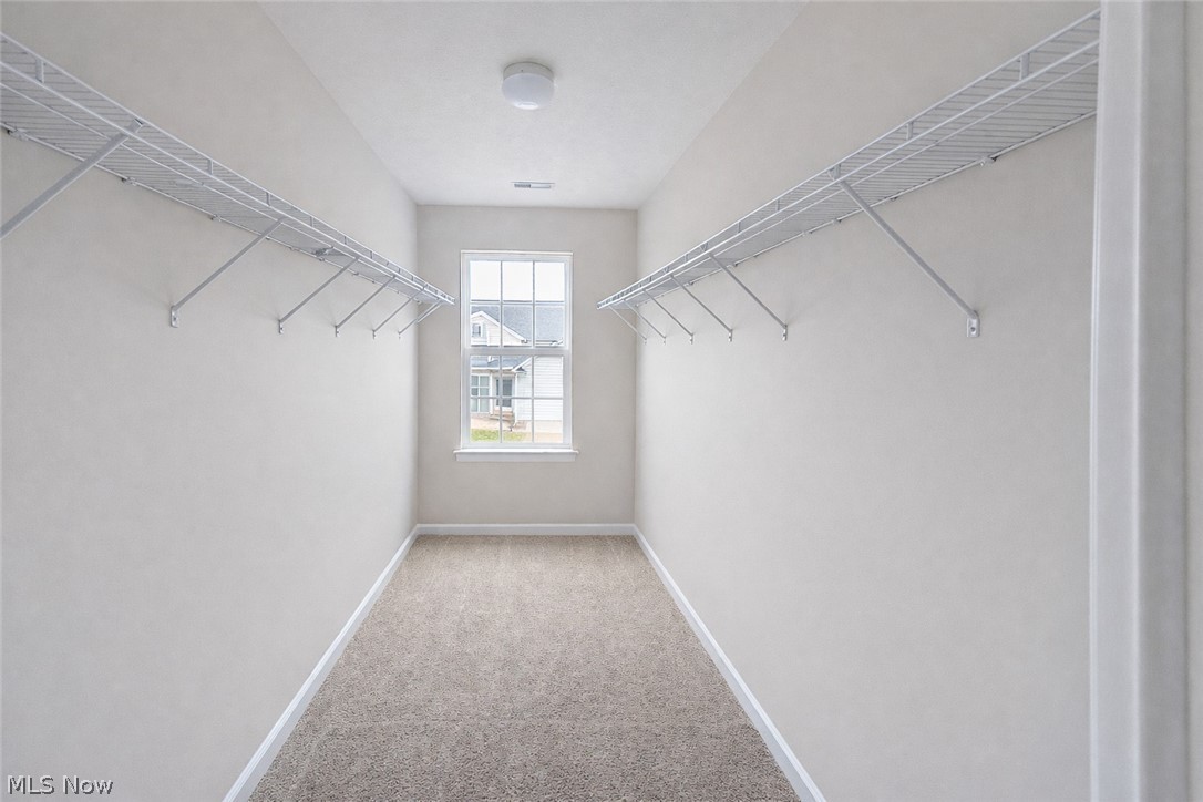38446 Foxglen Avenue Avon OH 44011