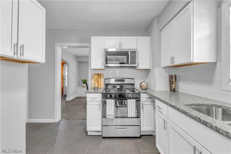 17011 Puritas Avenue Cleveland OH 44135