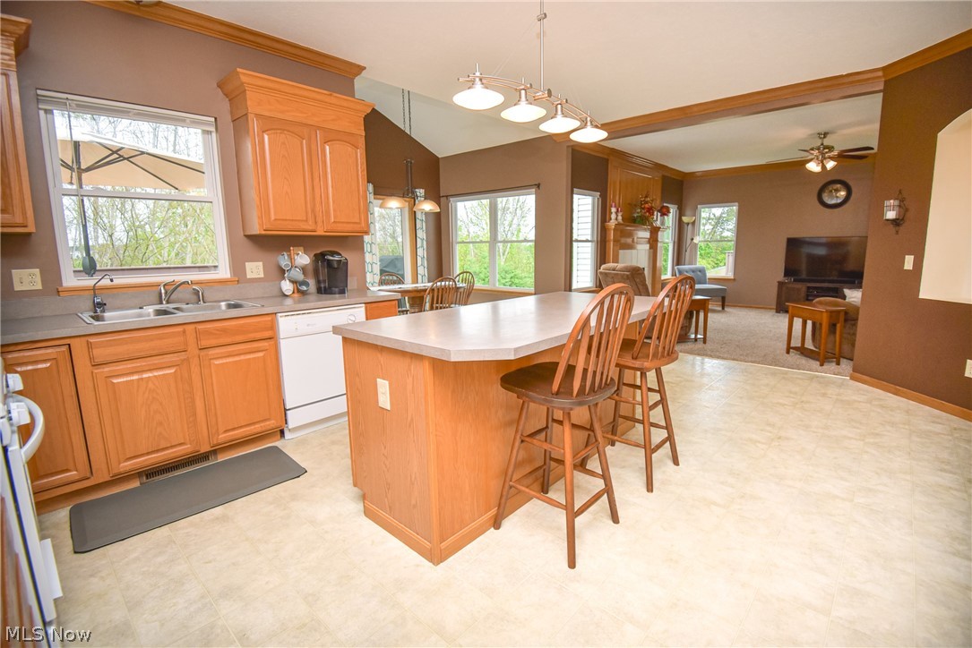 5804 Northampton Drive Medina OH 44256