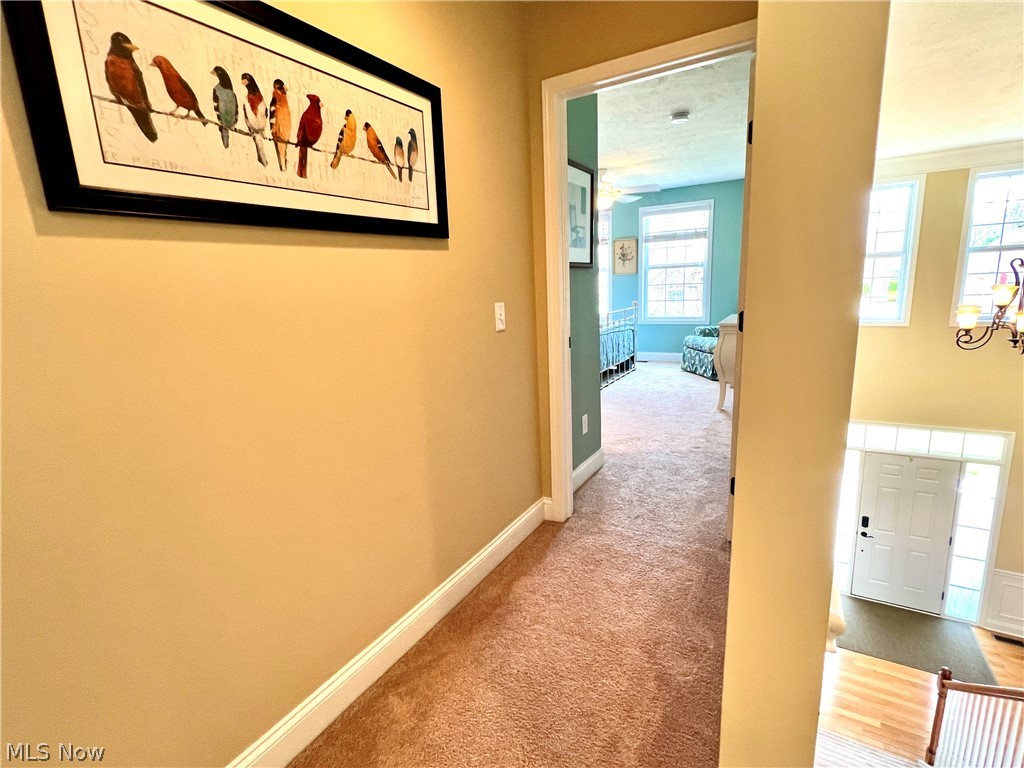 14292 Bentley Lane Strongsville OH 44136