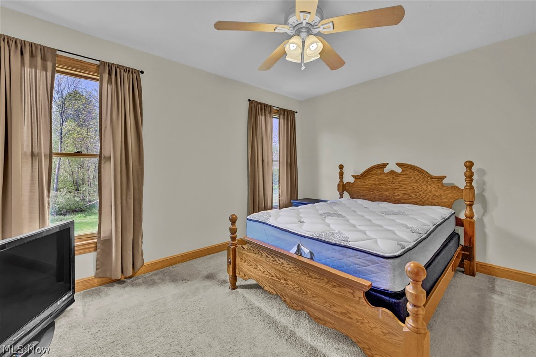 7310 Dunphys Way Valley City OH 44280