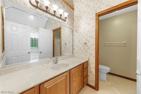 1179 Vineyard Drive Medina OH 44256