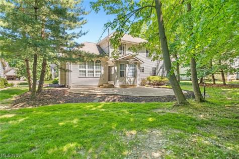 1179 Vineyard Drive Medina OH 44256