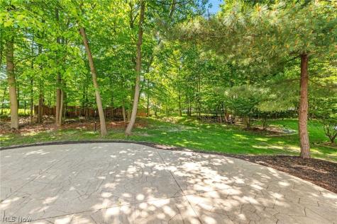1179 Vineyard Drive Medina OH 44256