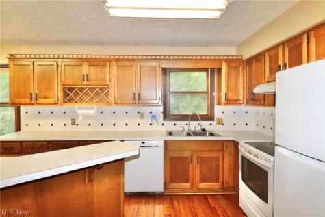 113 Gaylord Street Lodi OH 44254