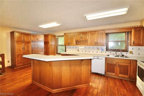113 Gaylord Street Lodi OH 44254