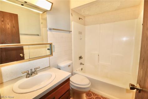 113 Gaylord Street Lodi OH 44254