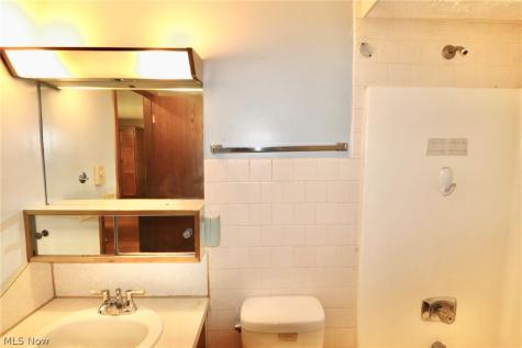 113 Gaylord Street Lodi OH 44254