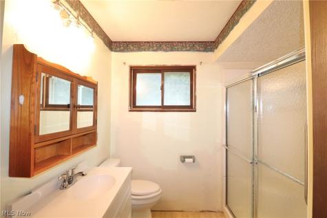 113 Gaylord Street Lodi OH 44254