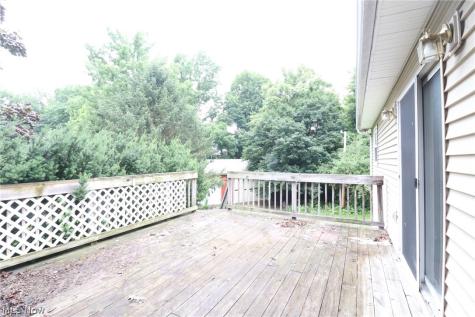 113 Gaylord Street Lodi OH 44254