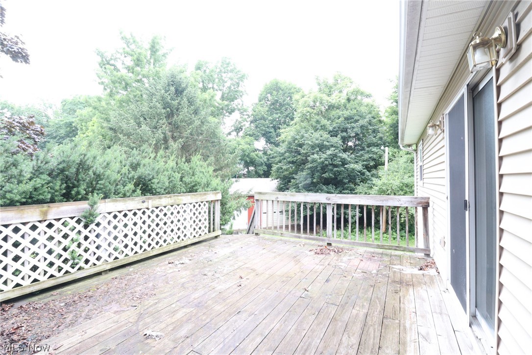 113 Gaylord Street Lodi OH 44254