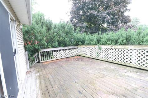 113 Gaylord Street Lodi OH 44254