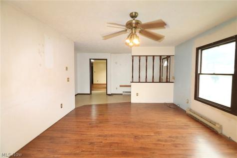 113 Gaylord Street Lodi OH 44254