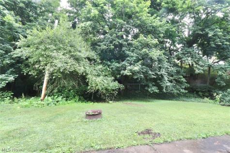113 Gaylord Street Lodi OH 44254